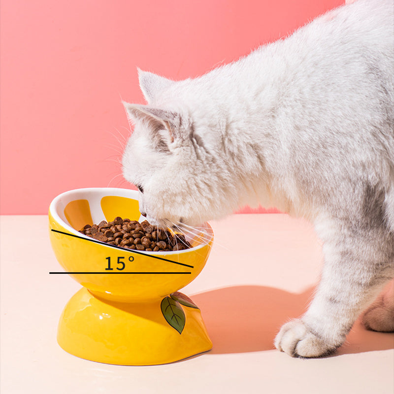 Lemon pet bowl for cat/ dog food