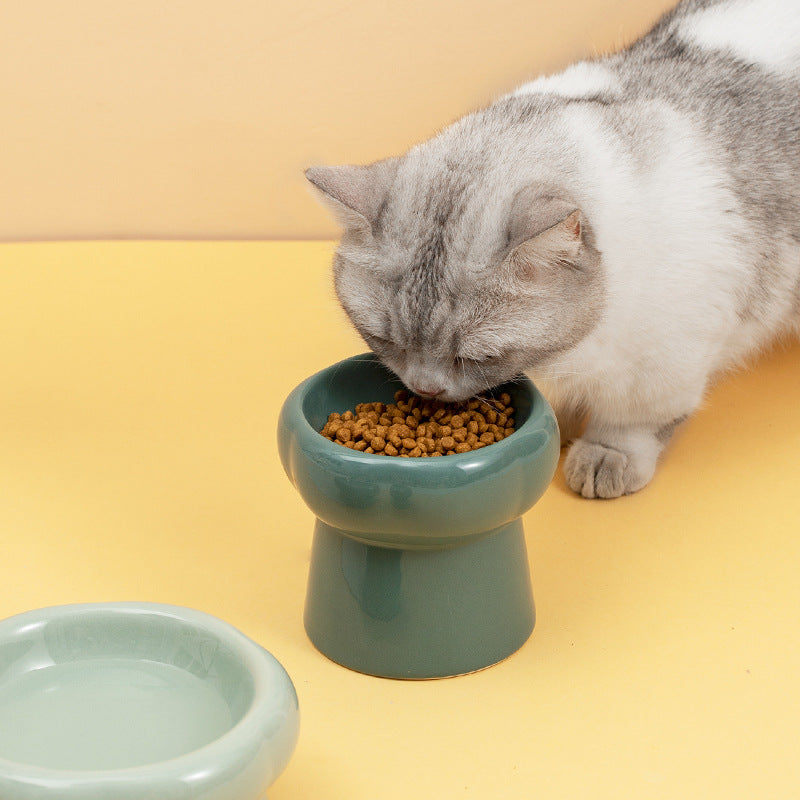 Stone Heightened Pet Food Bowl