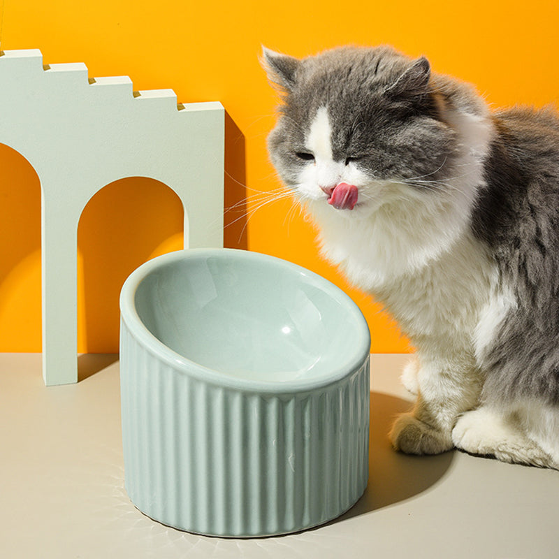 CERAMIC STRIPED FOOD BOWL