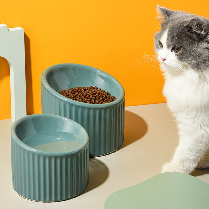 CERAMIC STRIPED FOOD BOWL