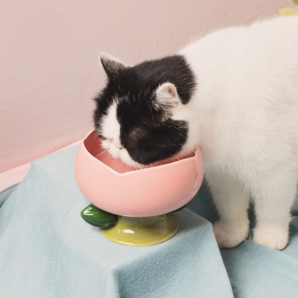 CUTE CERAMIC ELEVATED FLOWER DESIGN FOR CAT AND DOG